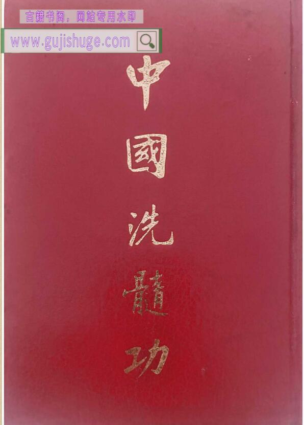 《中国洗髓功》