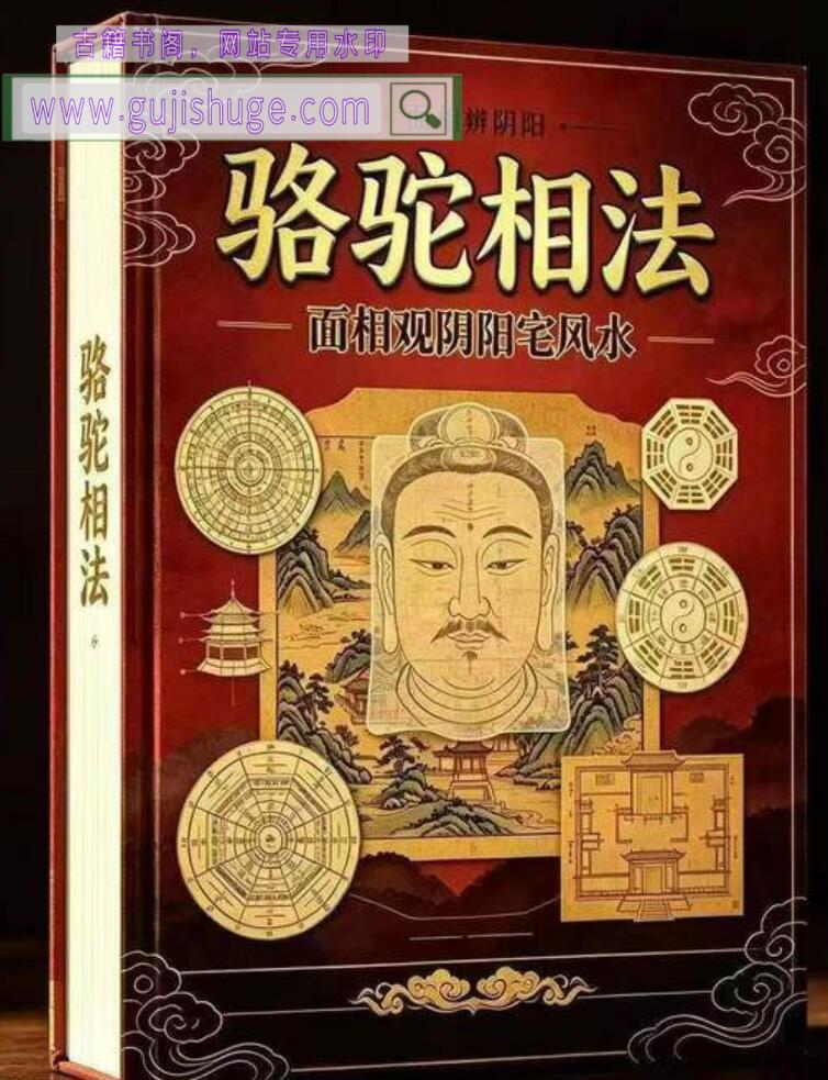 《骆驼相法：面相观阴阳宅风水》