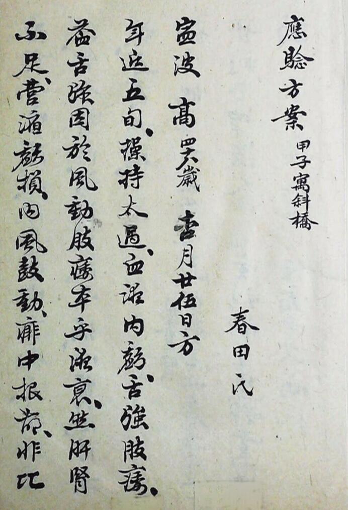 《应验方案》百度网盘下载